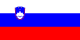 Eslovenia flag